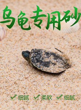 乌龟冬眠孵化用细河沙鱼缸装饰造景底砂草龟鳄龟巴西龟下蛋用砂子
