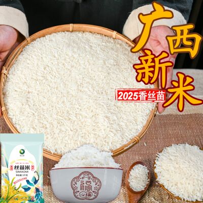 广西香米长粒丝苗米长寿之乡象州县优质大米产自水源保护区晚稻