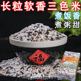 【广西象州三色米】26年新米长粒香三色米槟榔芋香食用糙米五谷
