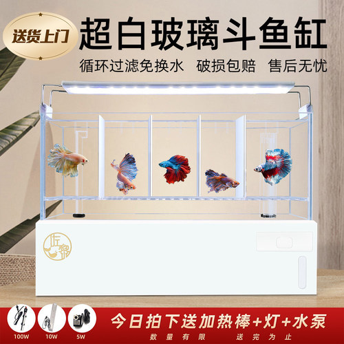 超白玻璃孔雀鱼系统国斗