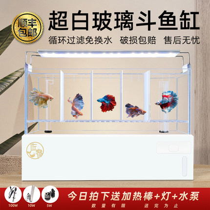 超白玻璃缸孔雀鱼系统泰国斗鱼专业玻璃缸多格排缸一体底过滤鱼缸