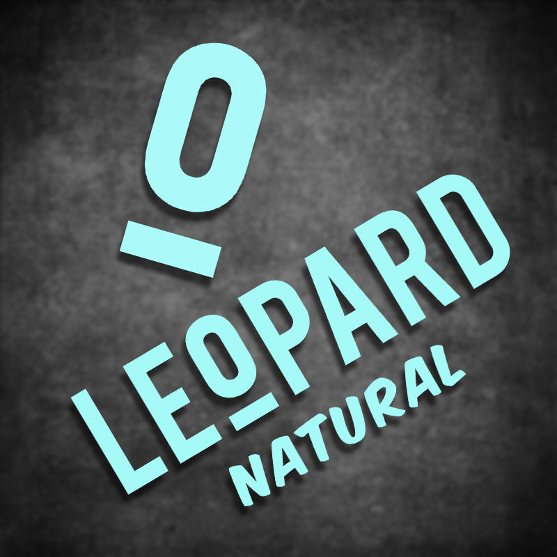 云创车贴 改装赞助商 LEOP贴纸/贴膜