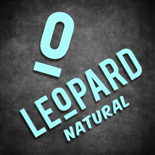 云创车贴 改装赞助商 LEOPARD摩托车踏板贴头盔贴花个性装饰贴纸