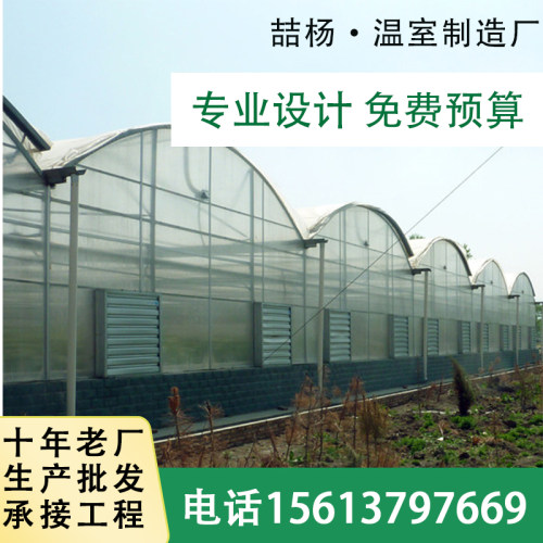 智能连栋薄膜温室大棚蔬菜大棚连动薄膜大棚骨架i.