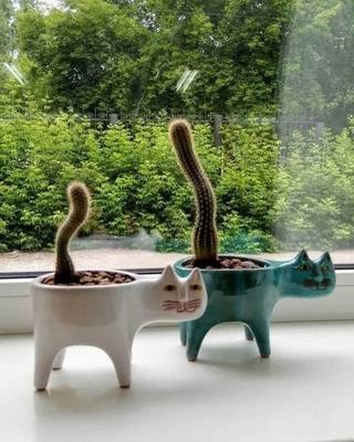 可爱猫咪尾巴花盆陶瓷个性创意仙人掌多肉简约装饰桌面卡通动物 虎窝淘