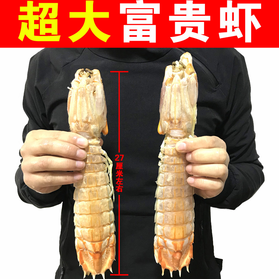 鲜冻生冻活冻懒尿虾大皮皮虾 虾姑王 大虾菇 皮皮虾富贵虾2只起卖