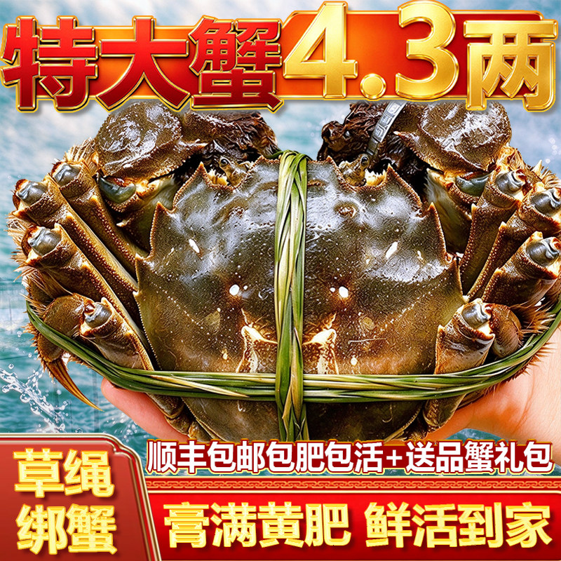 活蟹8/10只装大闸蟹鲜活两全母螃蟹河蟹清水湖蟹苏州特产春节礼盒