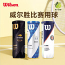Wilson威尔胜上海大师赛硬地训练专业网球胶罐三3个装 比赛训练球
