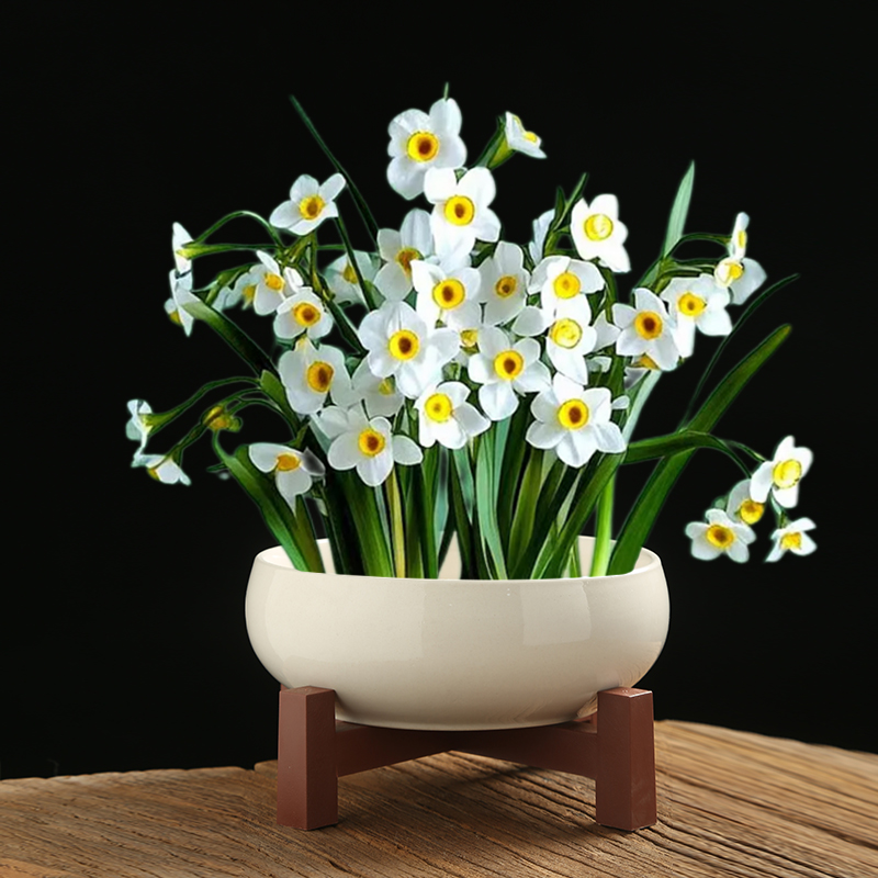 水培盆水仙花家用陶瓷桌面插花器大口径简约复古无孔水培睡莲简约