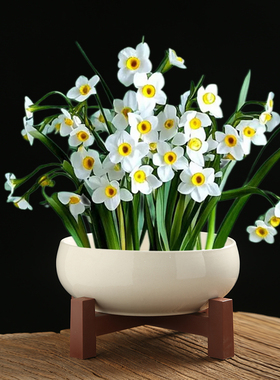 水培盆水仙花家用陶瓷桌面插花器大口径简约复古无孔水培睡莲简约