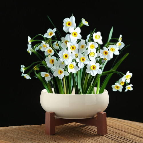 水培盆水仙花家用陶瓷桌面插花器大口径简约复古无孔水培睡莲简约