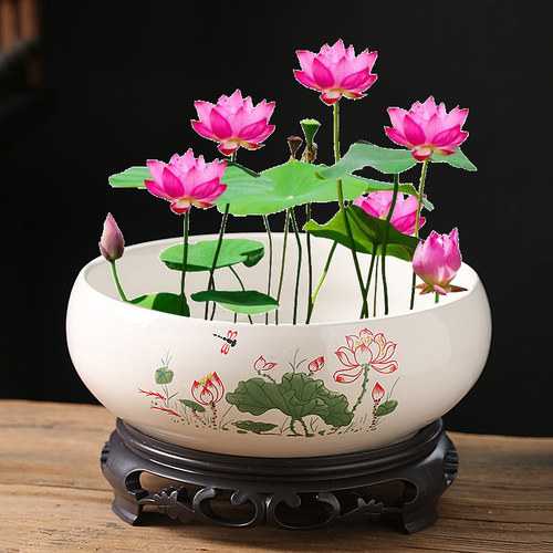 睡莲碗莲盆水培器皿水仙花盆