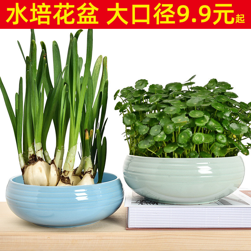 铜钱草花盆睡莲碗莲水仙专用盆粗陶瓷水培花盆器皿创意特大号家用