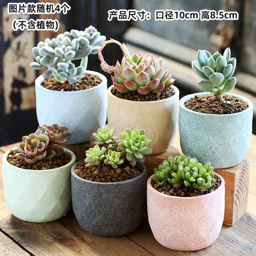 雪花釉多肉口径陶瓷透气简约