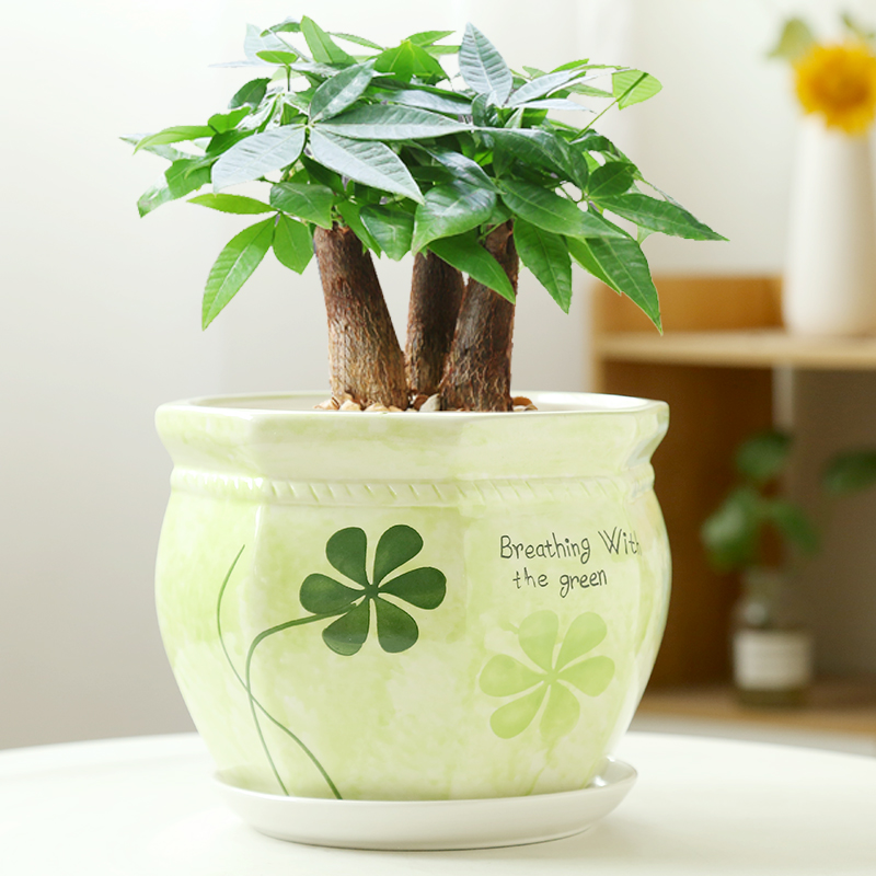 大口径简约花盆陶瓷绿植大盆