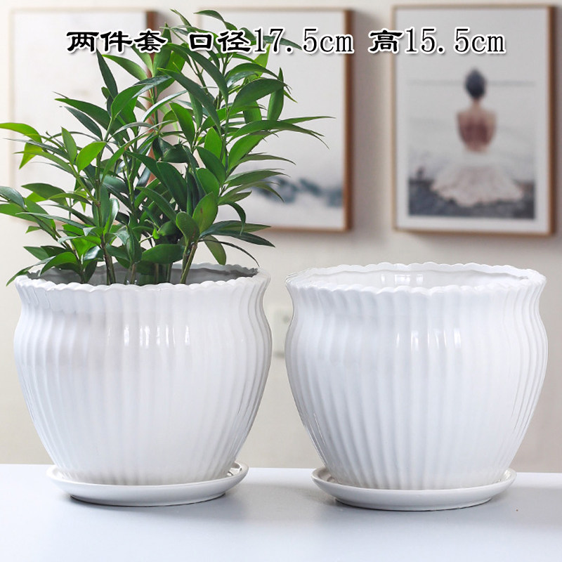 大号白花盆陶瓷特价清仓家用绿萝蝴蝶兰吊兰发财树君子兰盆栽盆子