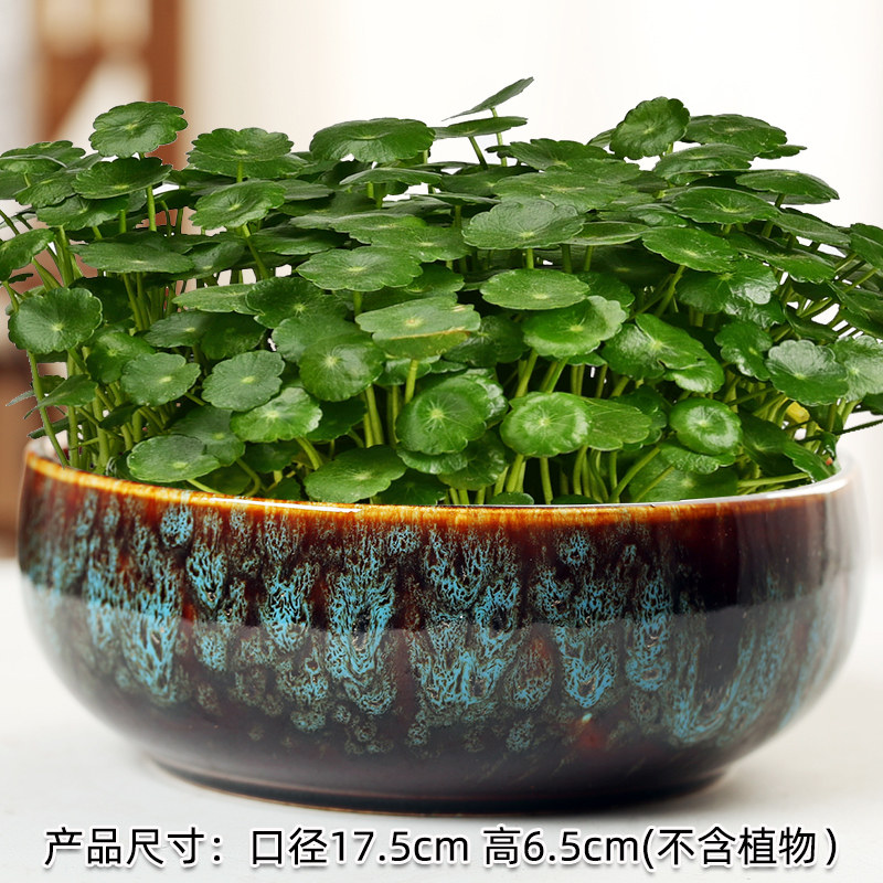 铜钱草专用一叶莲睡莲盆缸碗莲荷花大号水仙花盆陶瓷无孔水培器皿,鲜花速递/花卉仿真/绿植园艺,花盆,淘宝优惠券,粉丝福利购,淘宝优惠卷