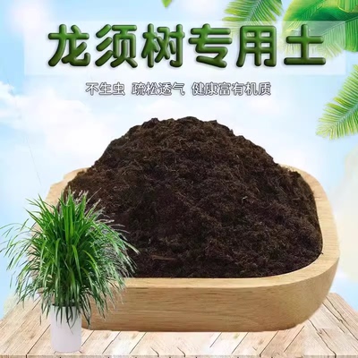 龙须树适用土龙须树营养土通用土壤种植土通用松软肥料花卉盆栽土