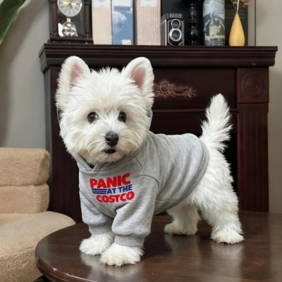 宠物狗狗衣服小型犬比熊泰迪雪纳瑞猫咪连帽卫衣防掉毛2025新款秋