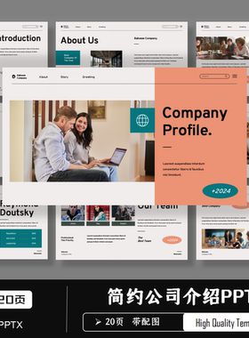 欧美简约英文Company Profile公司介绍PPT模板企业宣传商务通用
