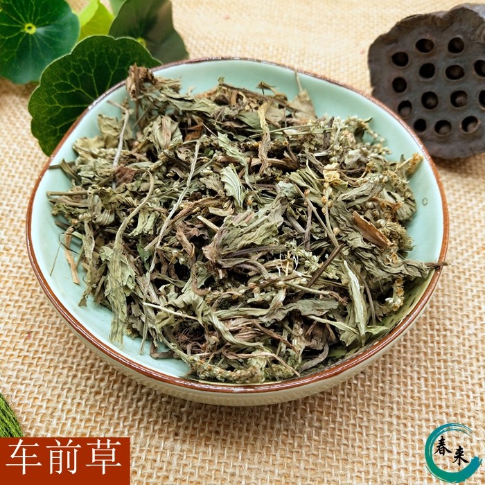 车前草 干车前草 车轮菜 中药材发 500克 全场两件包邮,传统滋补营养品,其他药食同源食品,淘宝优惠券,粉丝福利购,淘宝优惠卷