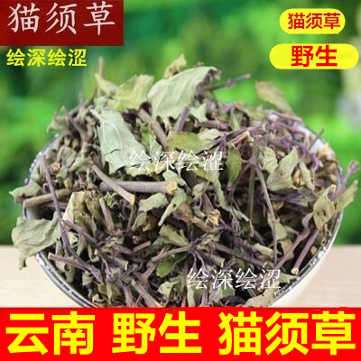 云南西双版纳野生猫须草