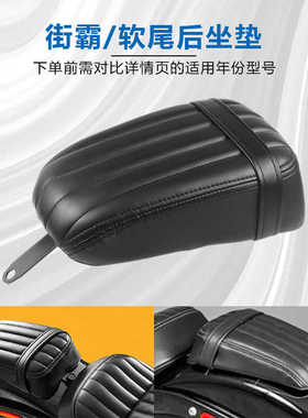 街霸 软尾 街霸FXBB 18-23 软尾Standard FXST 坐垫 后座垫