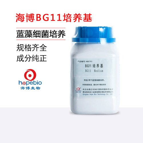 青岛海博BG11培养基微生物