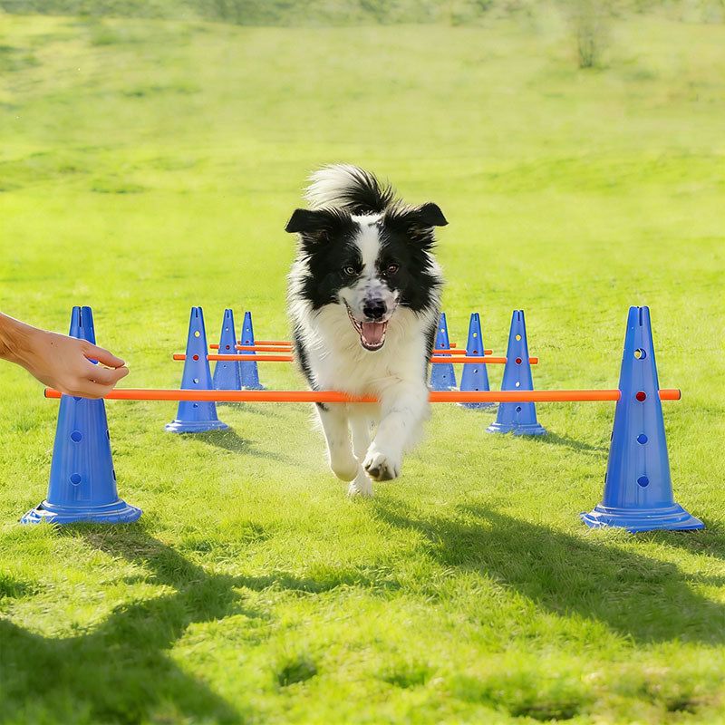 宠物犬敏捷训练器材 跳杆跨栏圈环 狗狗比赛专用障碍道具