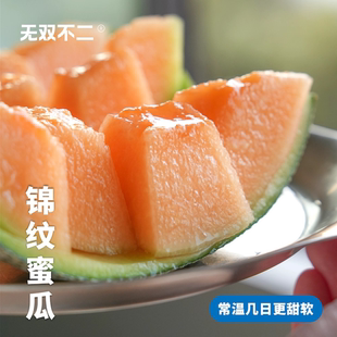 無雙不二錦紋蜜瓜冰淇淋靜蜜瓜瓜夕張蜜瓜非網紋 期待下一波蜜瓜