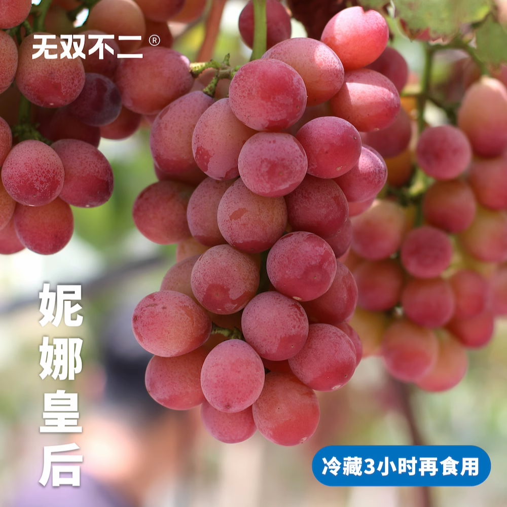 無(wú)雙不二奢侈品級(jí)的葡萄妮娜皇后