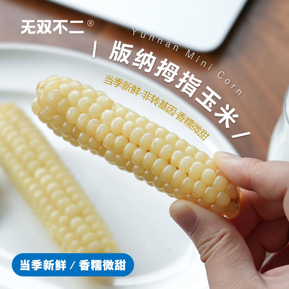 无双不二可爱如珍珠般的拇指玉米