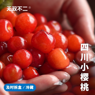 一周排！无双不二四川小樱桃小恩桃野樱桃大凉山西昌当季新鲜水果