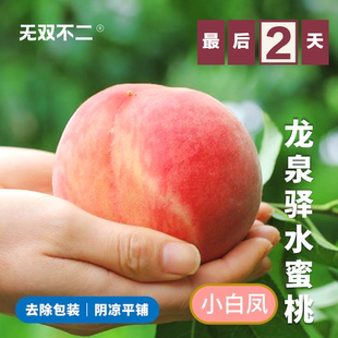 zui后2天！无双不二龙泉水蜜桃四川成都正宗软桃应季时令新鲜水果