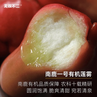 无双不二南鹿一号有机莲雾海南莲雾新鲜现摘水果整箱顺丰 下波约