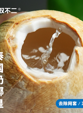 哎哟！椰子水好喝椰肉也好吃着呢