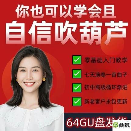 葫芦丝零基础视频教程教学自学初学者入门到精通教学全套U盘优盘