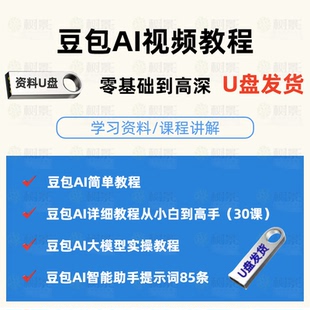 2025豆包AI高阶视频U盘教程精准提示词合集大模型通用附教程大全