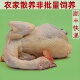 农家散养土鸡老母鸡3年走地鸡笨草鸡活鸡现杀煲汤滋补月子鸡柴鸡