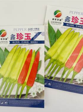 鑫珍玉早熟单生黄皮朝天椒种子光亮顺直味香辣黄红果两用黄朝天椒