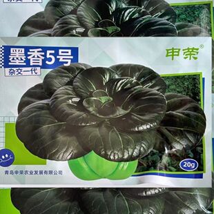 播 申荣墨香5号苏州青种子墨绿甜糯高产耐寒抗病口感甜糯秋季