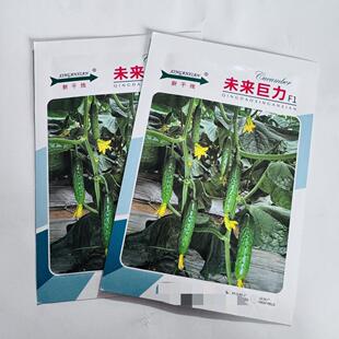 新干线未来巨力强雌性水果黄瓜种子旱黄瓜10克