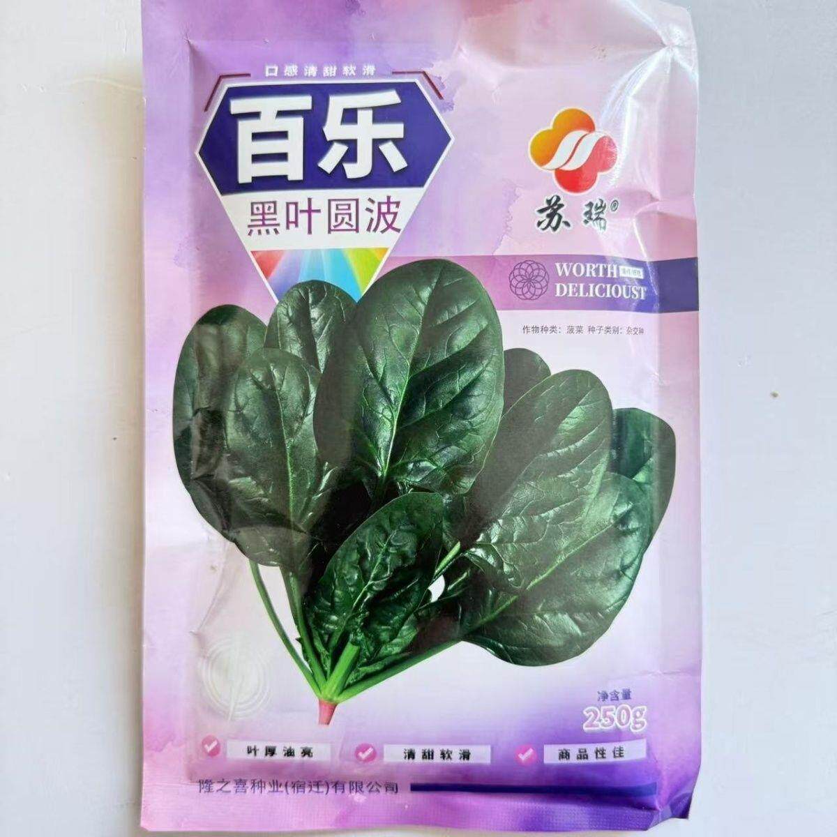 苏瑞百乐菠菜种子250克