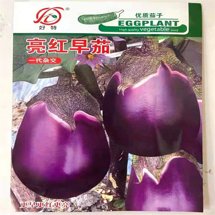 好特亮红早茄种子F1极早熟紫红大圆茄子籽高产耐寒性强春秋季基地