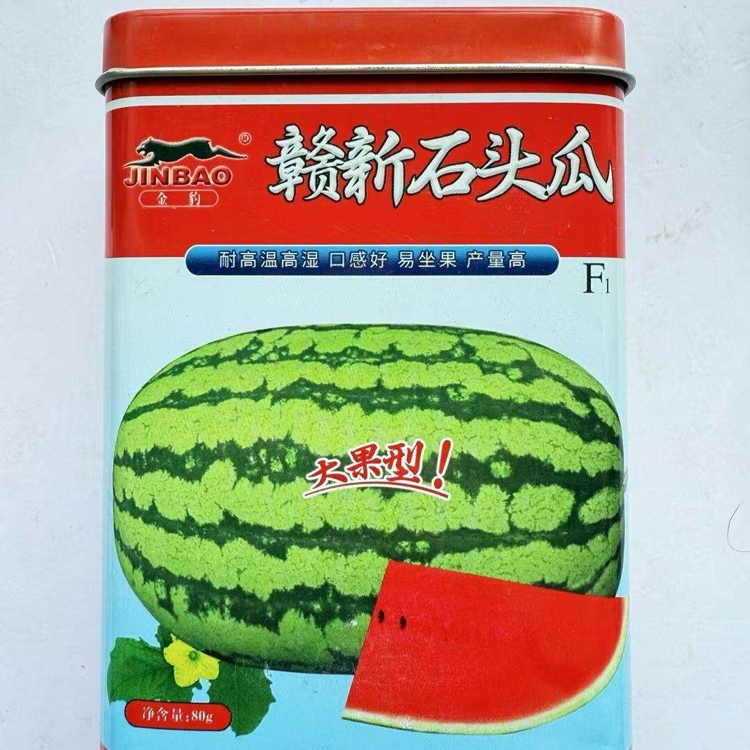 赣新石头瓜大果型花皮椭圆西瓜种子耐高温高湿口感好易坐果产量高