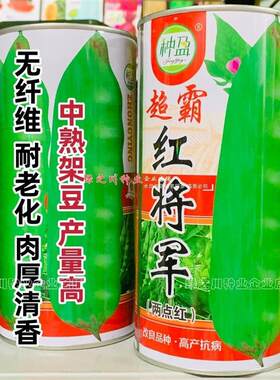 东北超霸红将军油豆种子四季豆角种籽大号高产北方两点红架豆种子