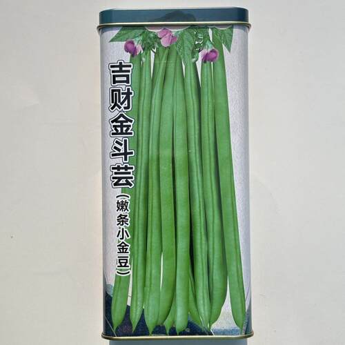 吉财金斗芸中早熟蔓生嫩荚浅绿色圆长略扁高产抗病适合春秋播种