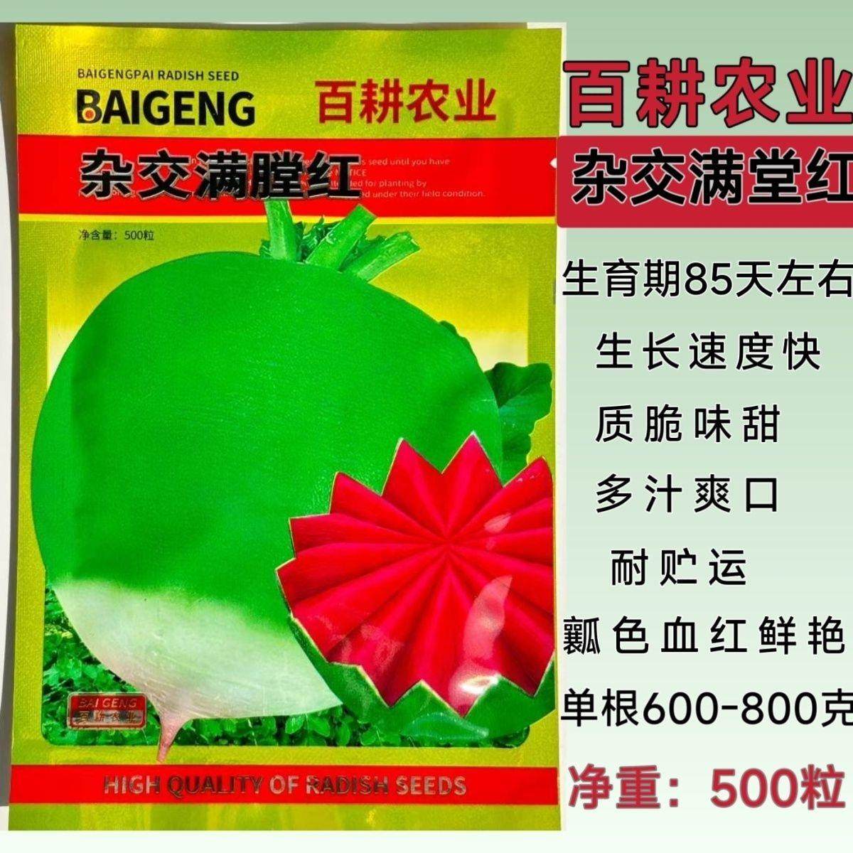 百耕杂交满堂红萝卜心里美萝卜种子绿皮红肉甜脆多汁脆嫩爽口秋播