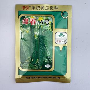 津春4号黄瓜种子50克