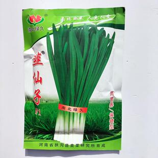 南北绿久韭仙子韭王子寒绿王雪韭六号多抗韭十号寒青韭霸韭菜种子